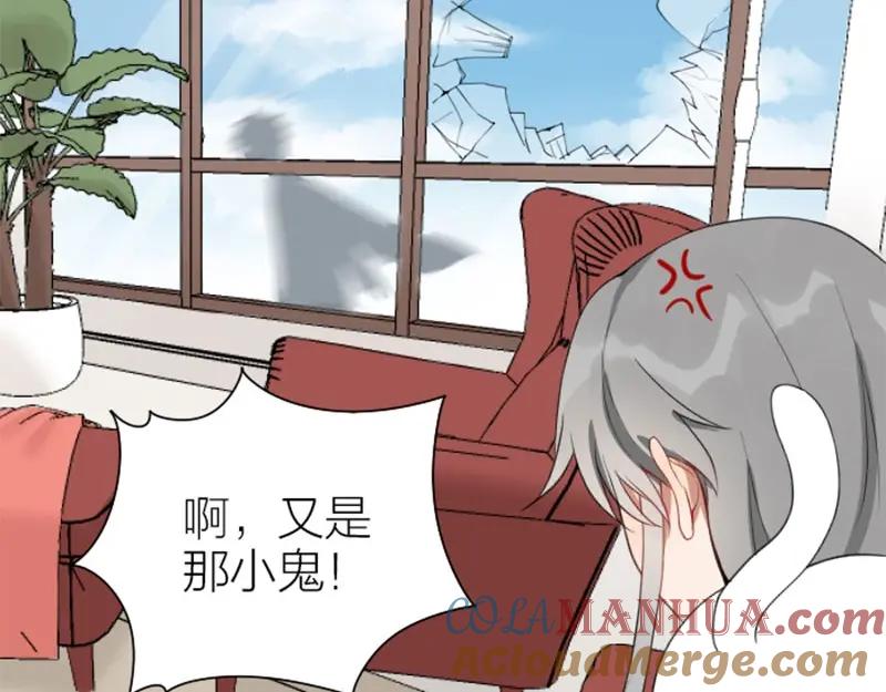 《降智小甜饼》第156-第157话 变猫猫！ 第7页