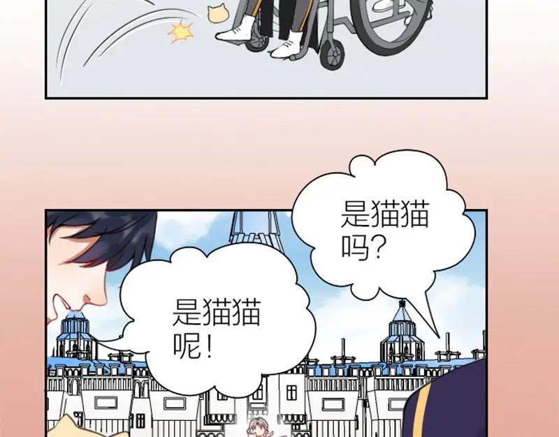 《降智小甜饼》第156-第157话 变猫猫！ 第42页
