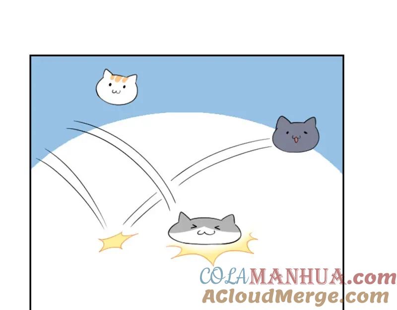 《降智小甜饼》第156-第157话 变猫猫！ 第40页