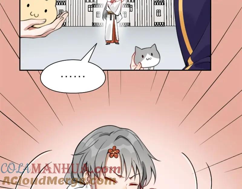 《降智小甜饼》第156-第157话 变猫猫！ 第43页