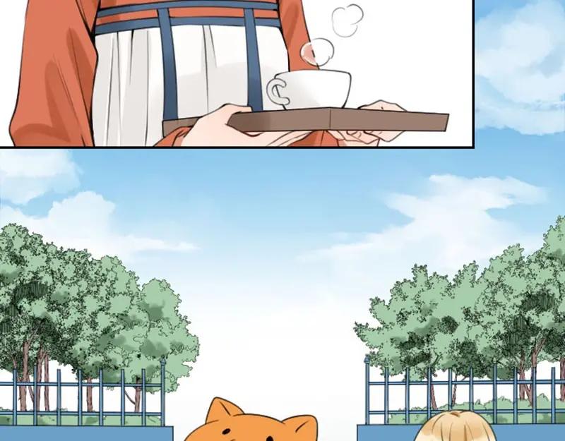 《降智小甜饼》第158-第159话 超强能力 第14页