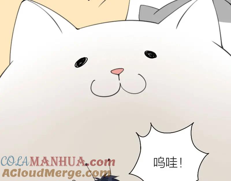 《降智小甜饼》第158-第159话 超强能力 第7页