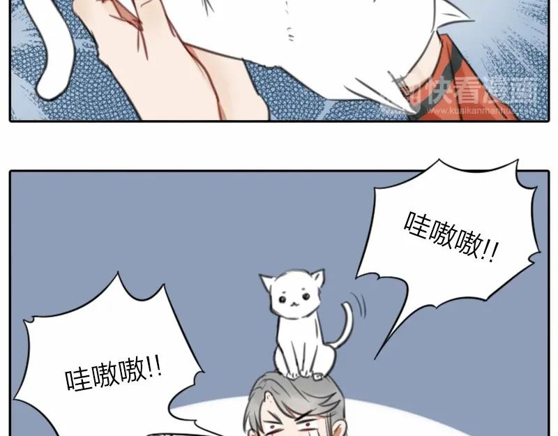 《降智小甜饼》第16-18话 爹爹很可爱 第16页