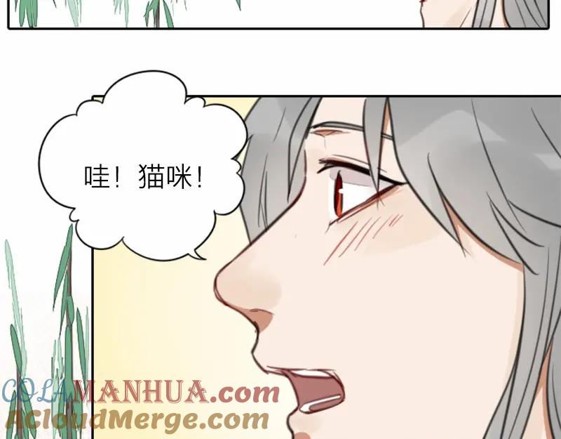 《降智小甜饼》第16-18话 爹爹很可爱 第13页