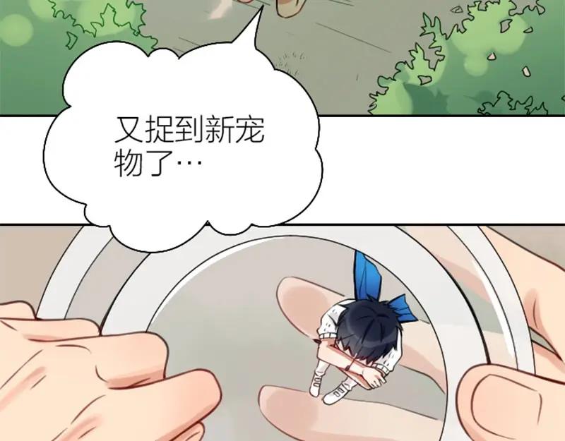 《降智小甜饼》第166-第167话 失忆粉 第5页