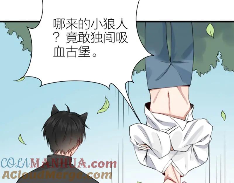 《降智小甜饼》第182-183话 初遇往事 第40页