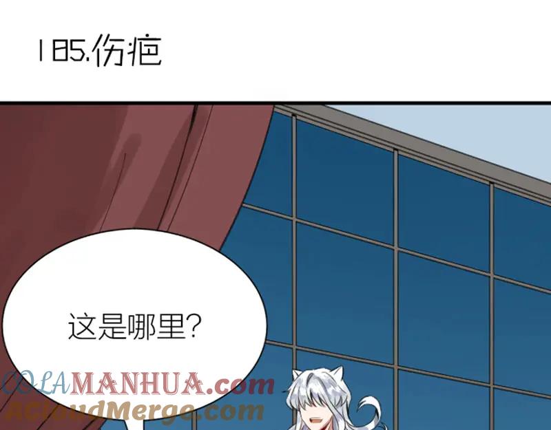 《降智小甜饼》第184-185话 激烈的战斗 第34页
