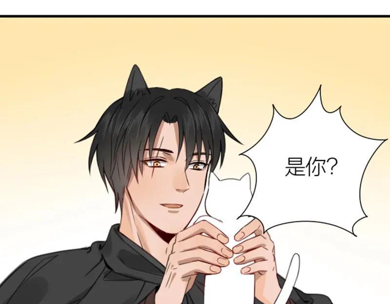 《降智小甜饼》第190-191话 喵生滑铁卢 第44页