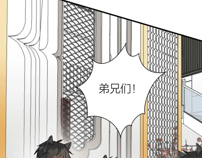 《降智小甜饼》第190-191话 喵生滑铁卢 第48页