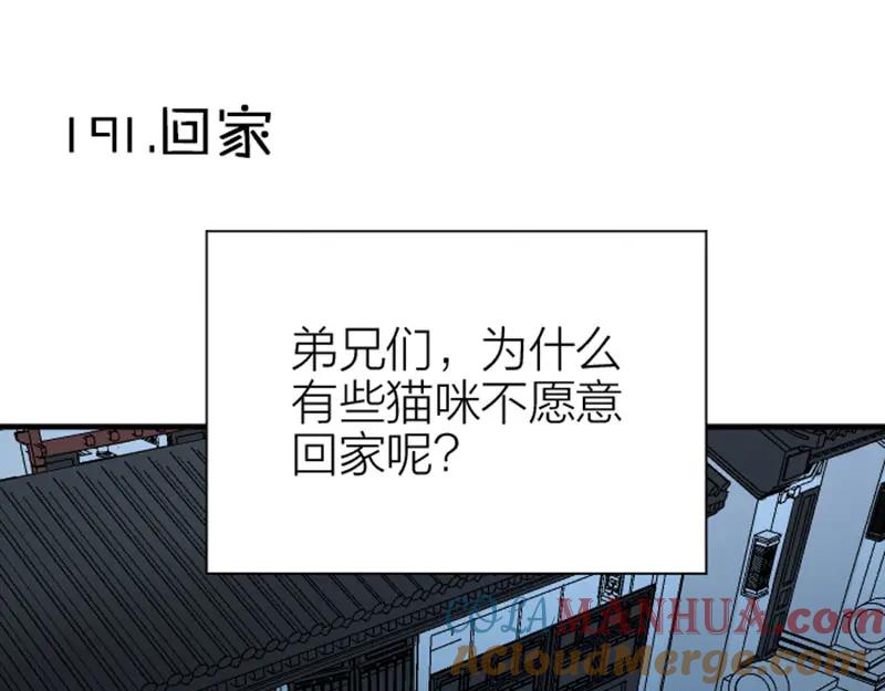 《降智小甜饼》第190-191话 喵生滑铁卢 第31页
