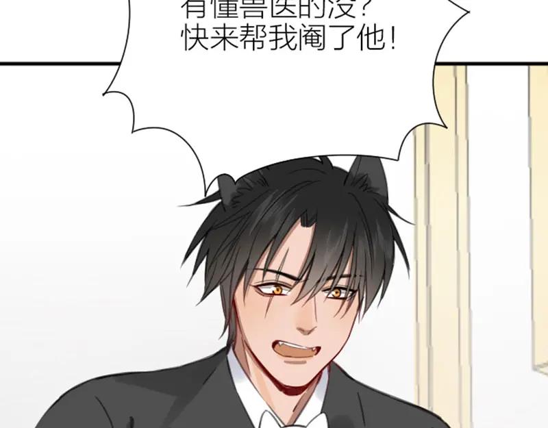 《降智小甜饼》第190-191话 喵生滑铁卢 第50页