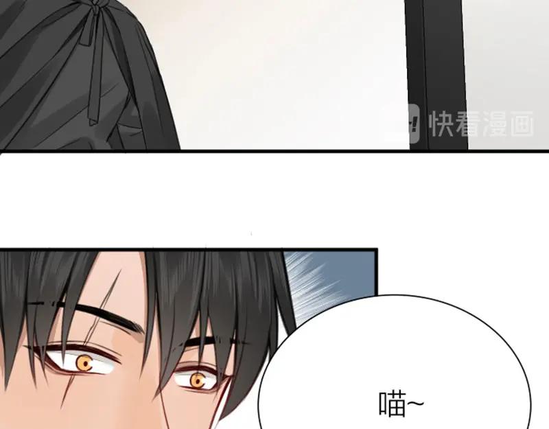 《降智小甜饼》第190-191话 喵生滑铁卢 第41页