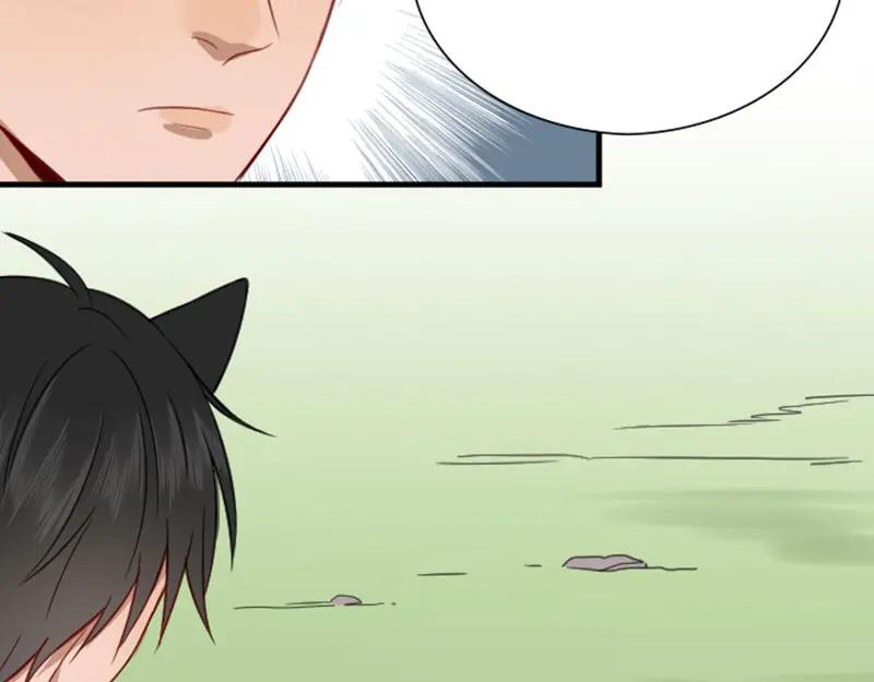 《降智小甜饼》第190-191话 喵生滑铁卢 第42页