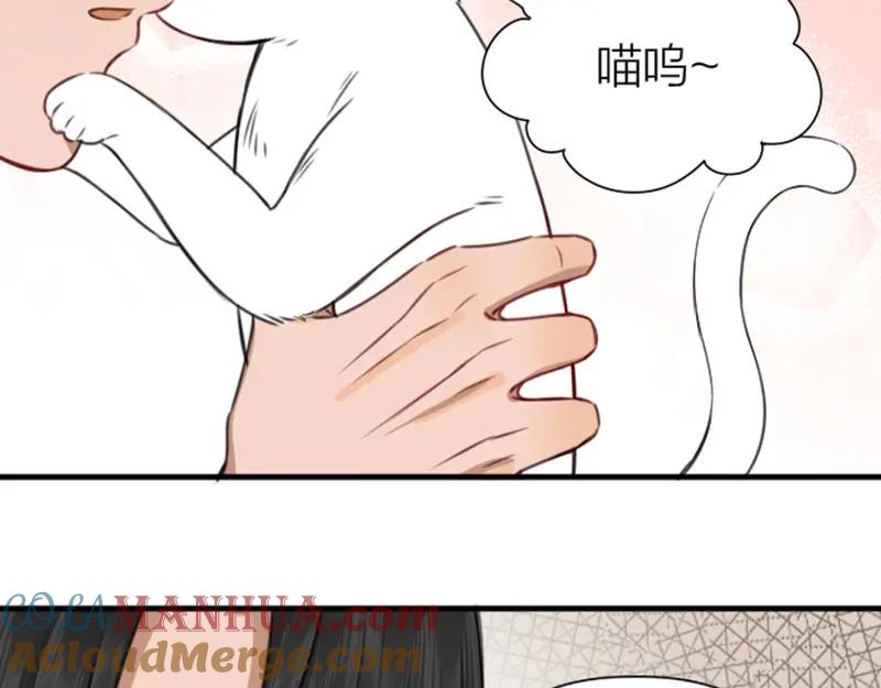 《降智小甜饼》第190-191话 喵生滑铁卢 第46页