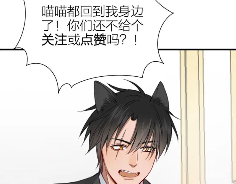 《降智小甜饼》第190-191话 喵生滑铁卢 第62页