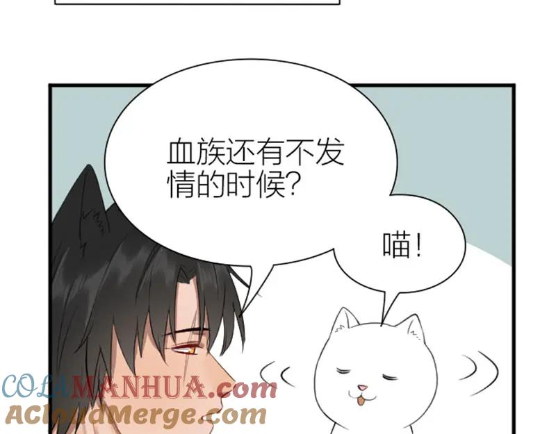 《降智小甜饼》第198-199话 小秘密 第19页