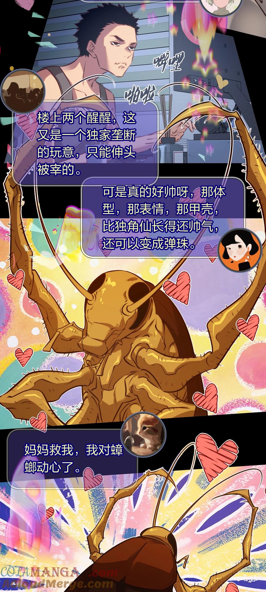 17.jpg
