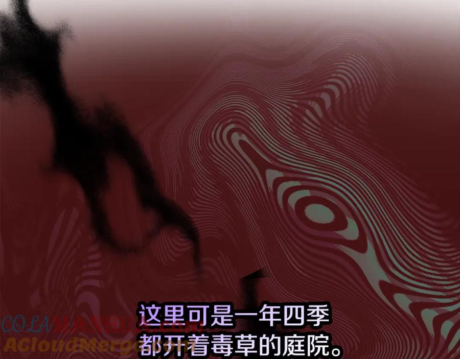 《捡了美男后被他缠上》第13话 初到卡尔提亚 第81页