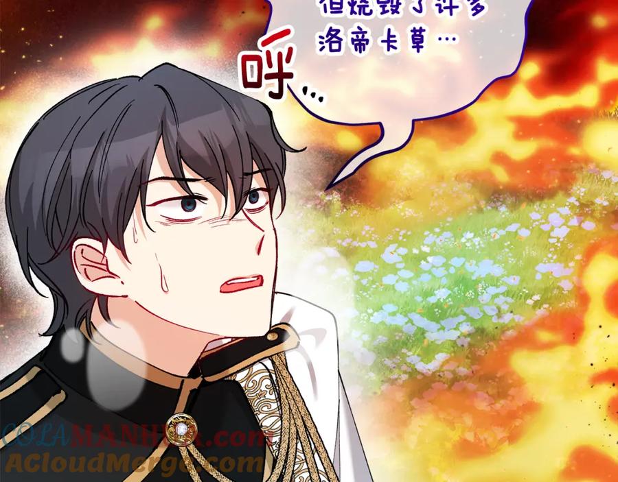 《捡了美男后被他缠上》第34话 泽尔突然烧伤 第41页