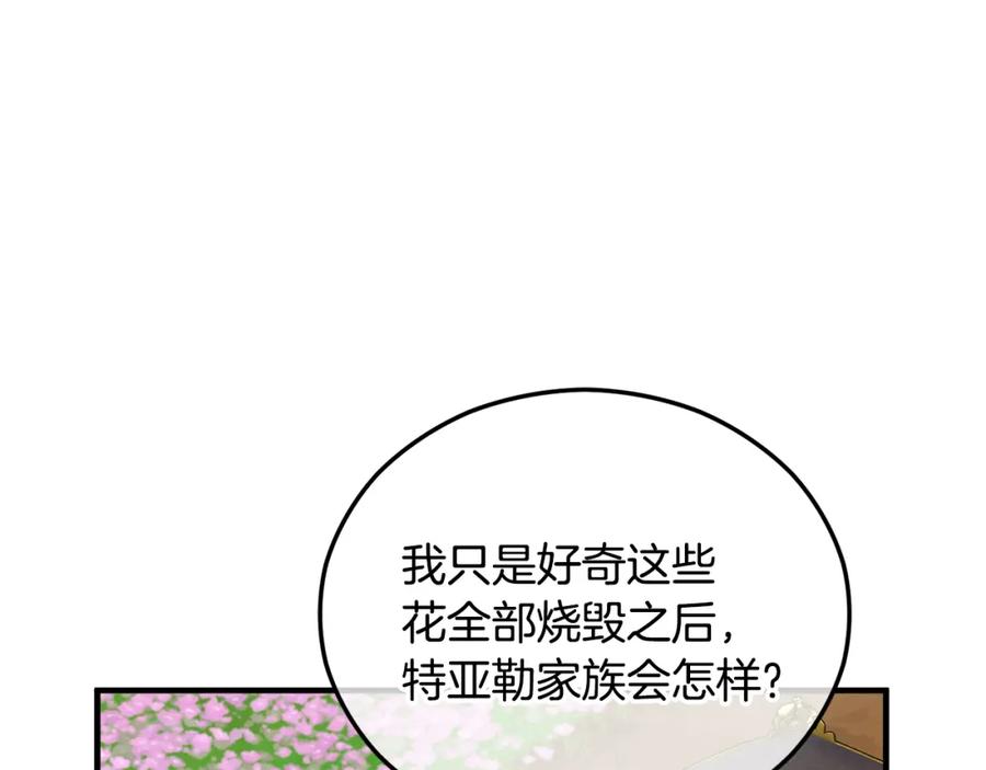 《捡了美男后被他缠上》第42话 火烧特亚勒 第11页