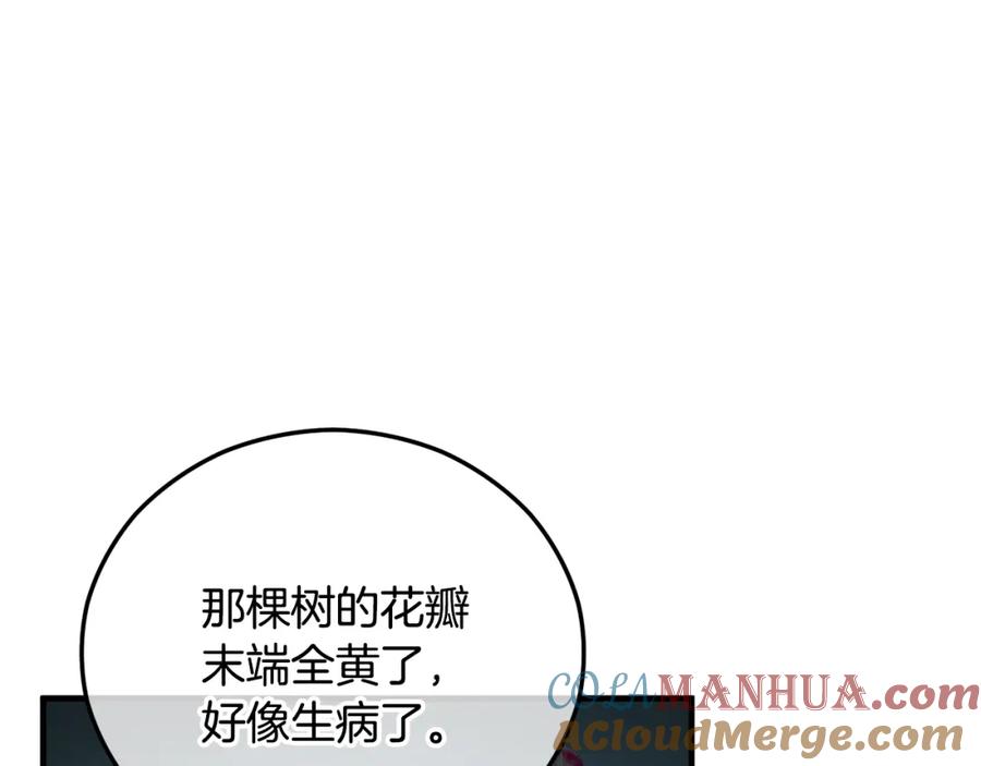 《捡了美男后被他缠上》第42话 火烧特亚勒 第149页