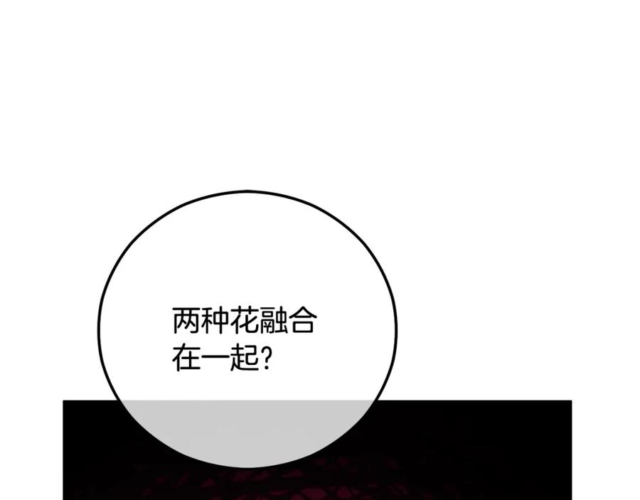 《捡了美男后被他缠上》第54话 花儿攻击研究院 第74页