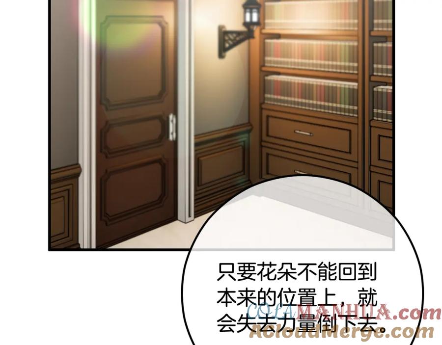 《捡了美男后被他缠上》第55话 出谋划策 第141页