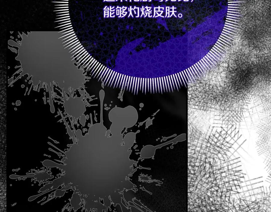 《捡了美男后被他缠上》第56话 中央城被花袭击 第147页