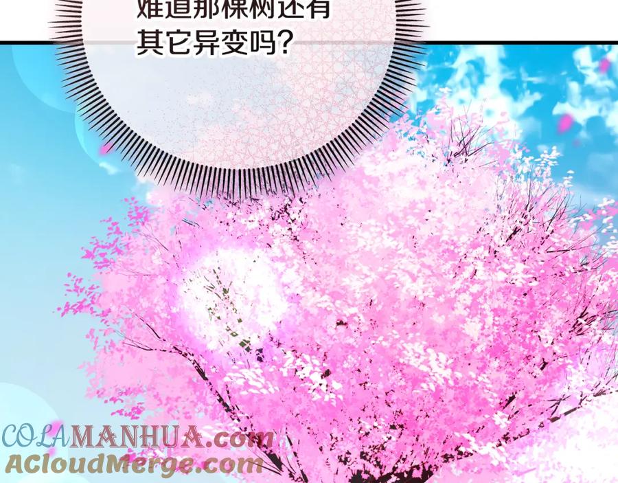 《捡了美男后被他缠上》第56话 中央城被花袭击 第37页