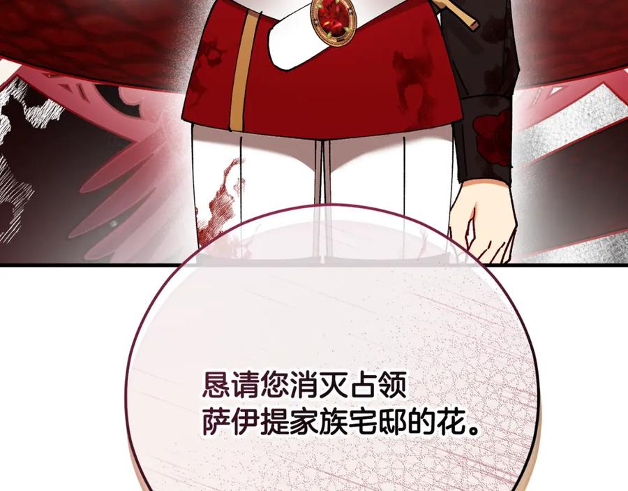 《捡了美男后被他缠上》第59话 萨伊提恳求恩莎 第34页