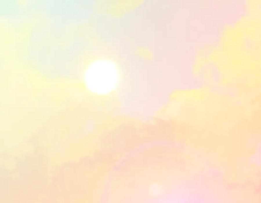 《捡了美男后被他缠上》第60话 花瓣风暴又来了 第55页