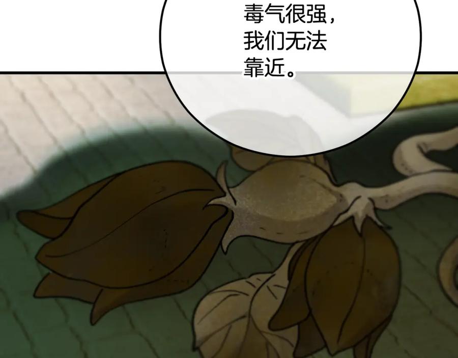 《捡了美男后被他缠上》第62话 治愈能力是黑魔法？！ 第78页