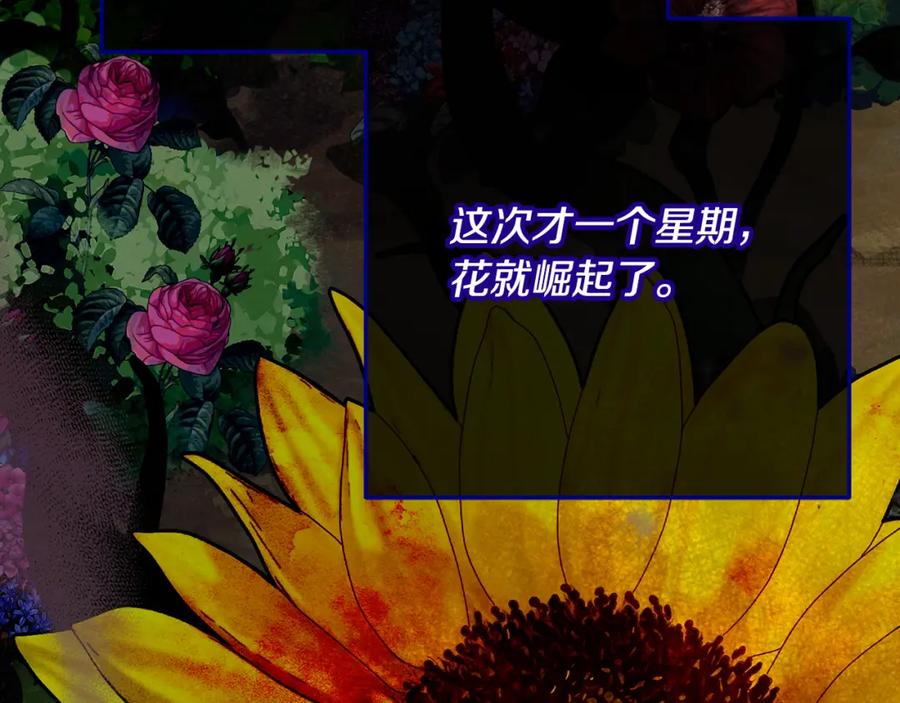 《捡了美男后被他缠上》第63话 花瓣风暴是因为我？！ 第143页