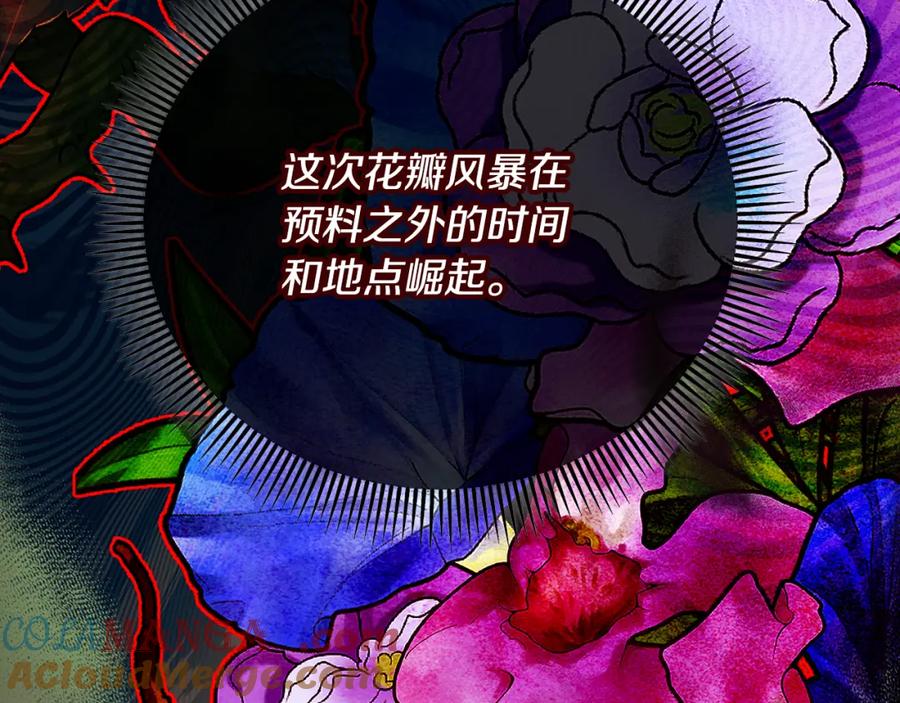 《捡了美男后被他缠上》第63话 花瓣风暴是因为我？！ 第165页