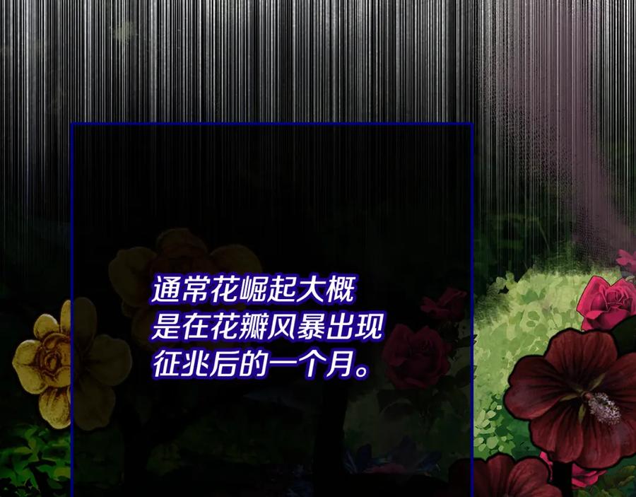 《捡了美男后被他缠上》第63话 花瓣风暴是因为我？！ 第142页
