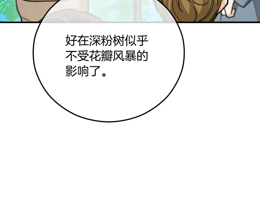 《捡了美男后被他缠上》第66话 深粉树和莎的关系 第12页