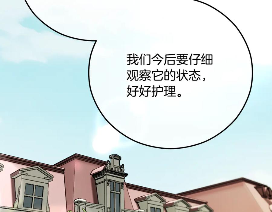 《捡了美男后被他缠上》第66话 深粉树和莎的关系 第160页