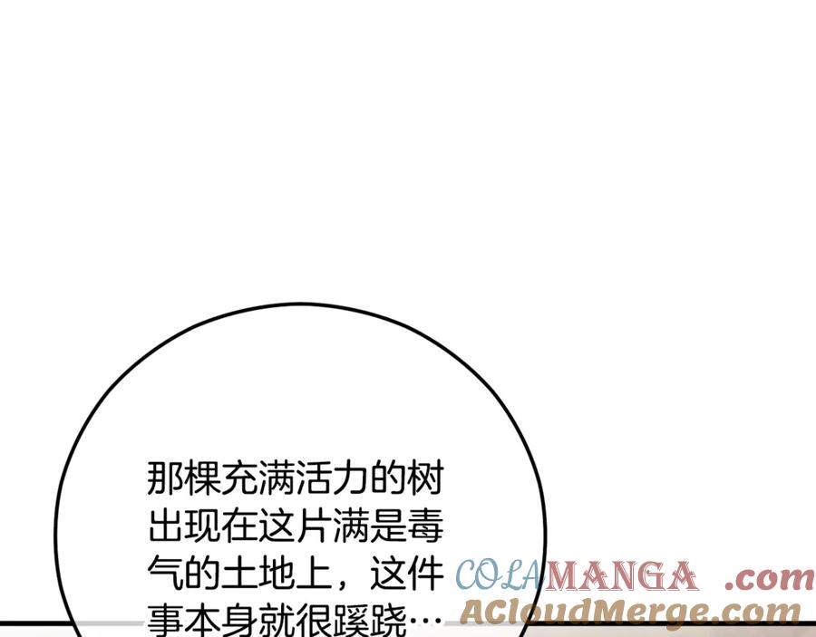 《捡了美男后被他缠上》第66话 深粉树和莎的关系 第37页