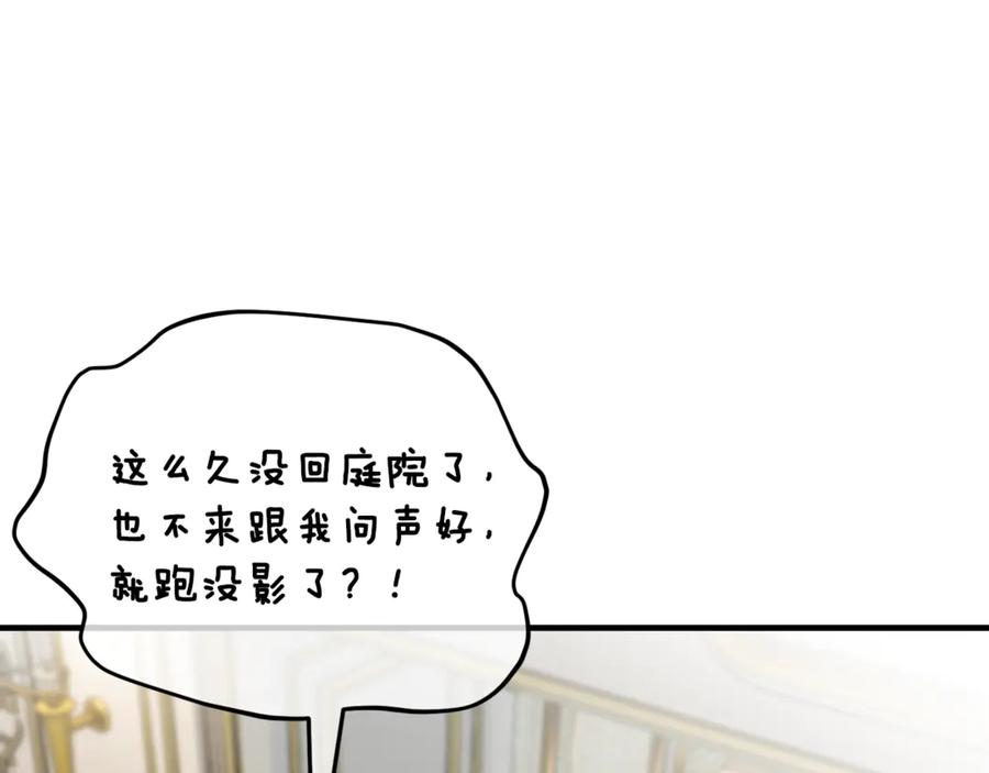 《捡了美男后被他缠上》第67话 塞利斯带走秘籍 第135页