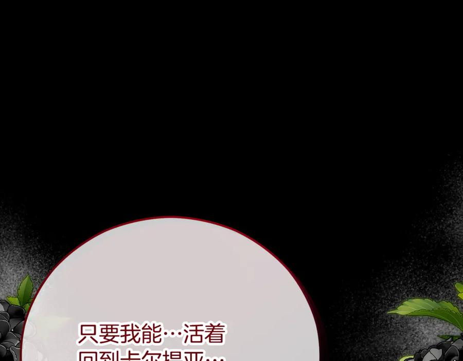 《捡了美男后被他缠上》第67话 塞利斯带走秘籍 第30页