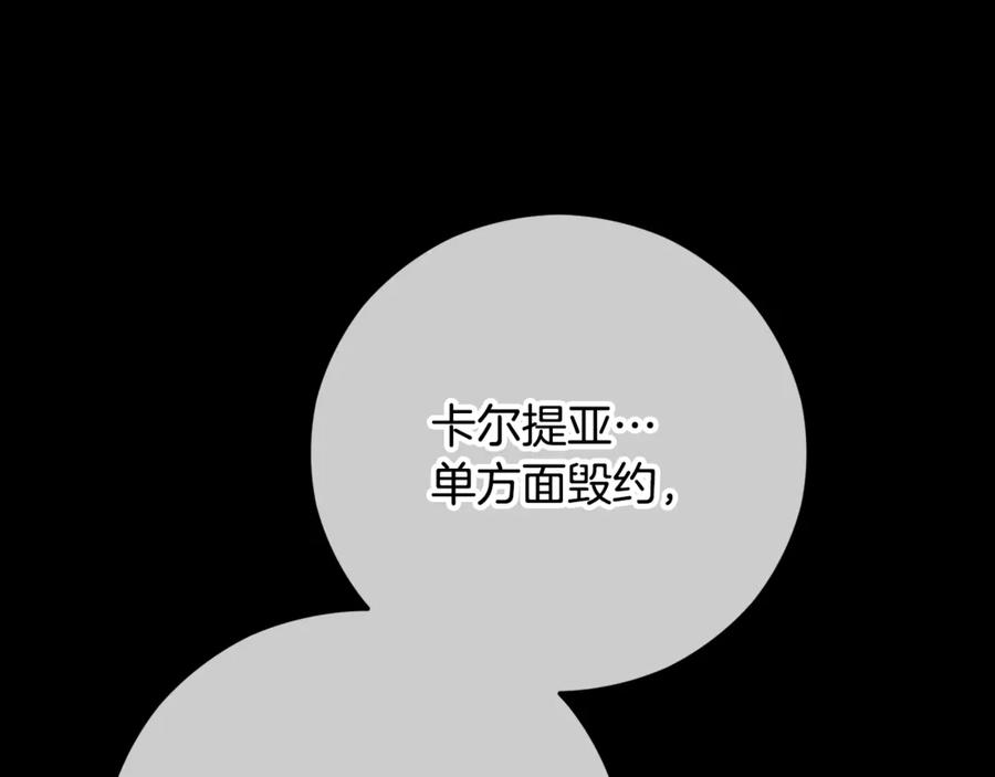 《捡了美男后被他缠上》第67话 塞利斯带走秘籍 第26页
