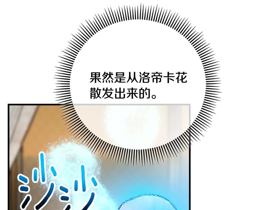 《捡了美男后被他缠上》第68话 恩莎能操纵洛帝卡？！ 第163页