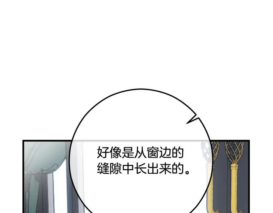 《捡了美男后被他缠上》第68话 恩莎能操纵洛帝卡？！ 第124页