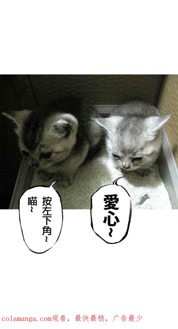 猫剑客 [第100话] 折翼天使 肆拾参，慈悲之剑 第56页