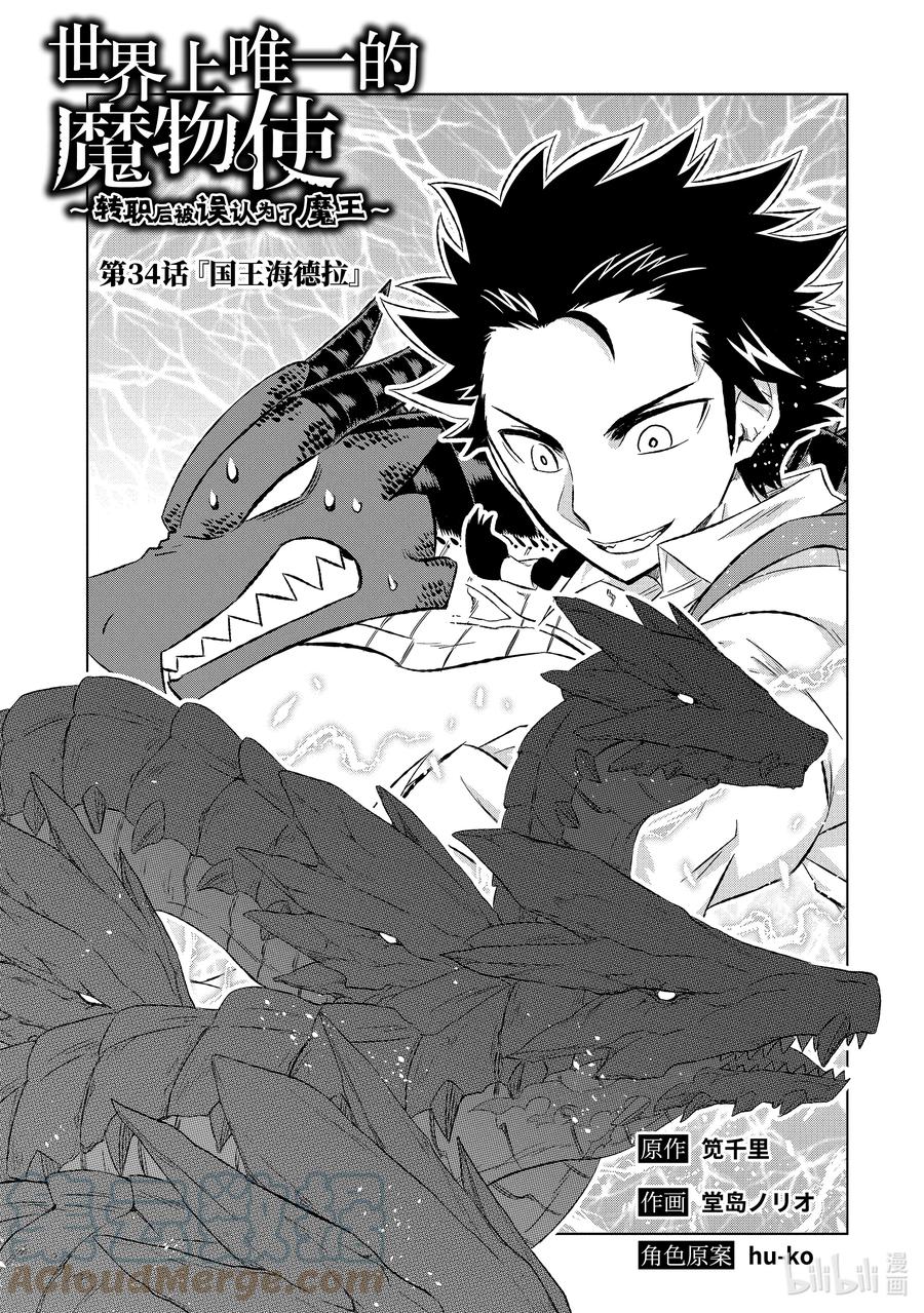《世界上唯一的魔物使-转职后被误认为了魔王-》34-前篇① 国王海德拉 第3页