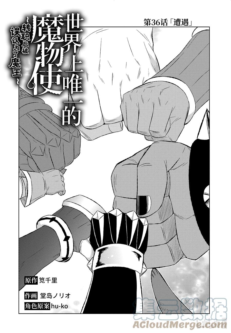 《世界上唯一的魔物使-转职后被误认为了魔王-》36-前篇① 遭遇 第2页