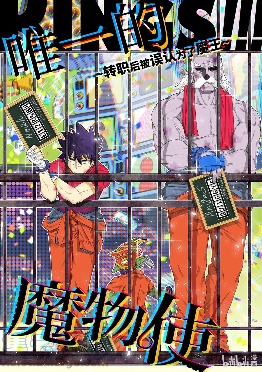 《世界上唯一的魔物使-转职后被误认为了魔王-》37-前篇 国王 第2页