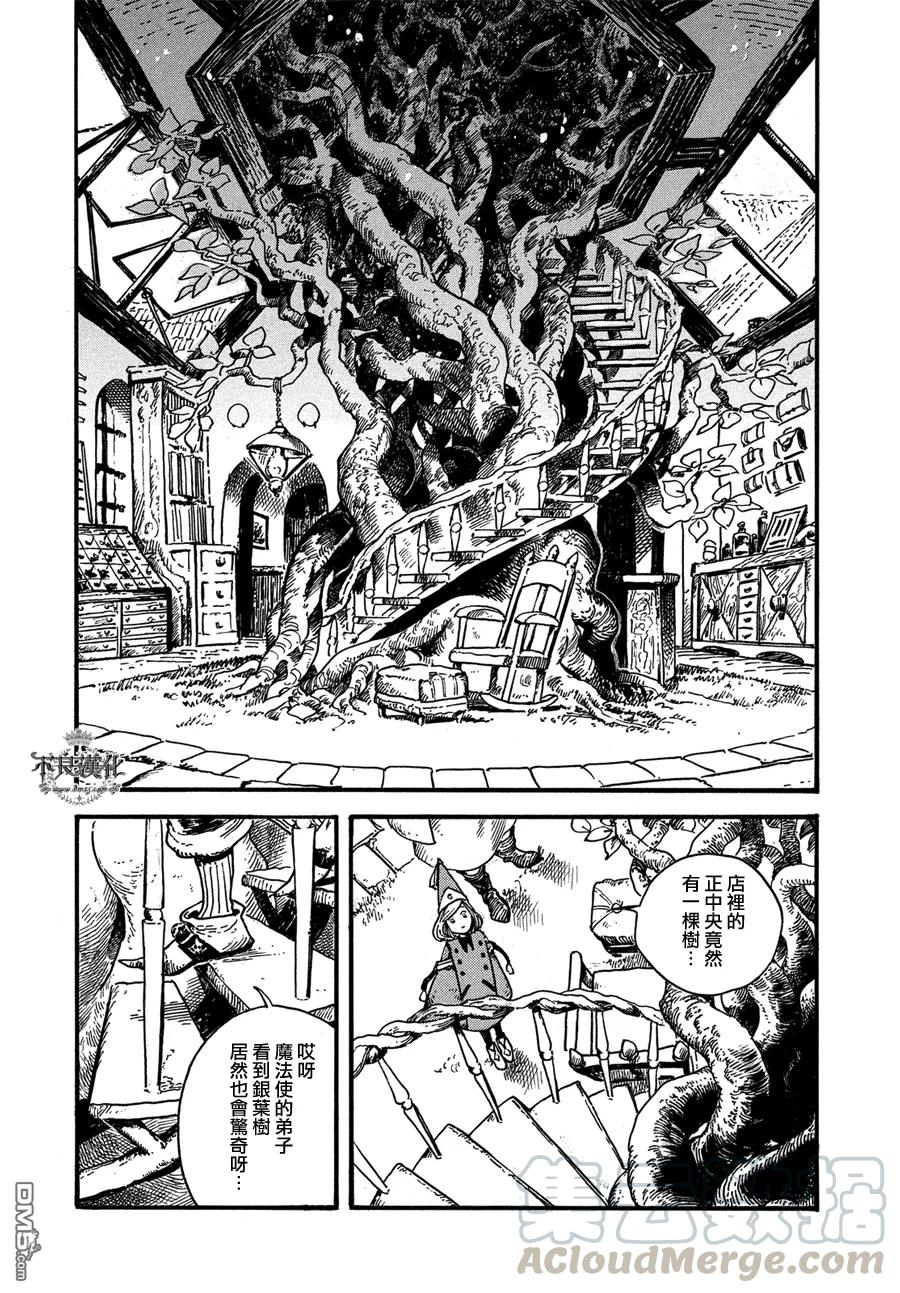 尖帽子的魔法工坊 5 第13页