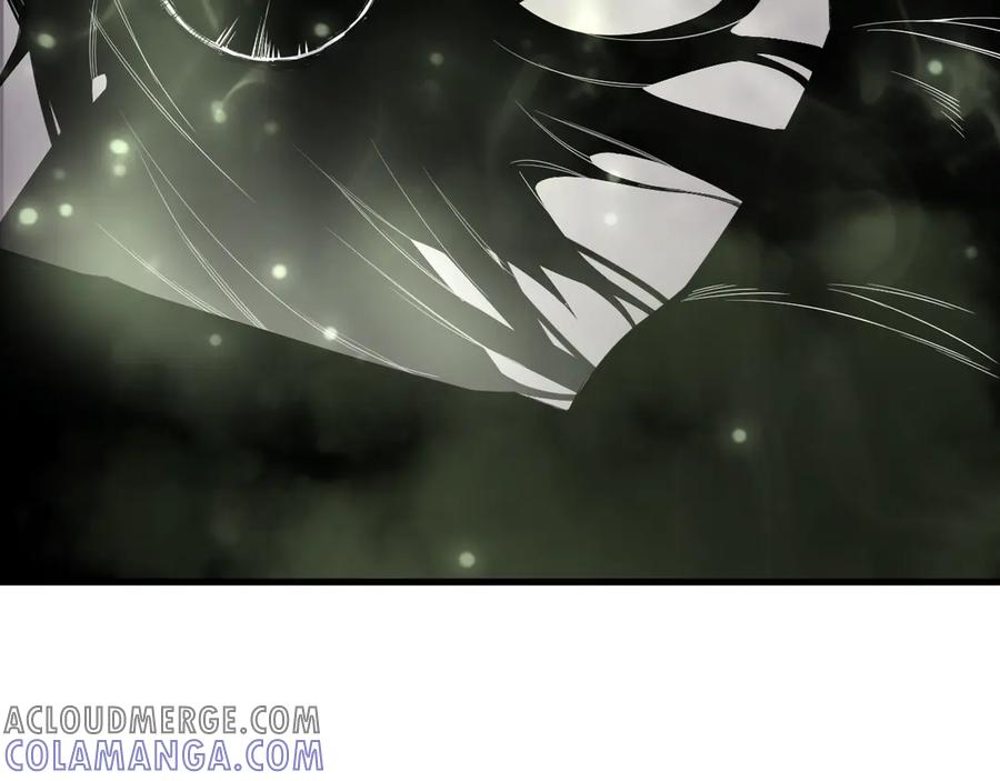 死灵法师！我即是天灾 193 进入试炼 第137页