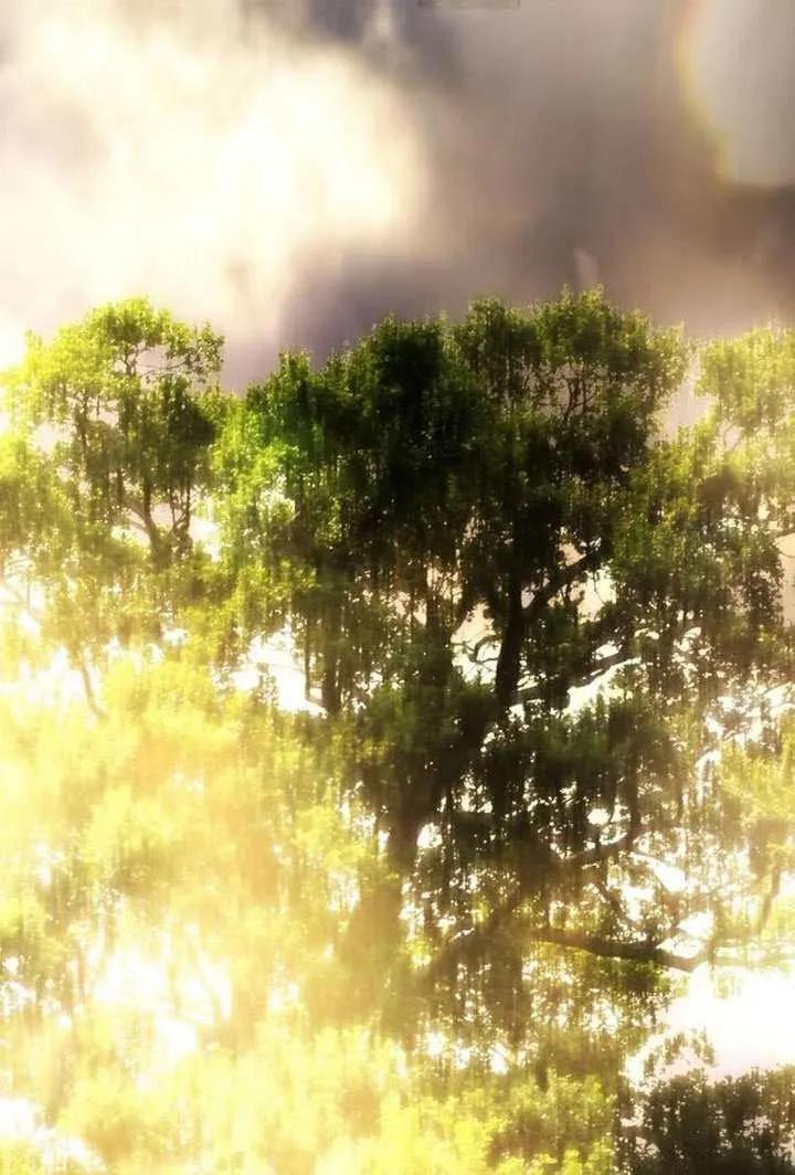 请教我欲望 - 第33话 - 第71张图